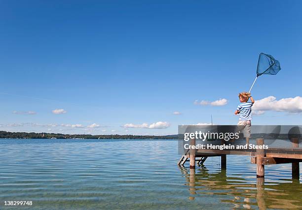 boy fishing with net in lake - starnberger see stock pictures, royalty-free photos & images