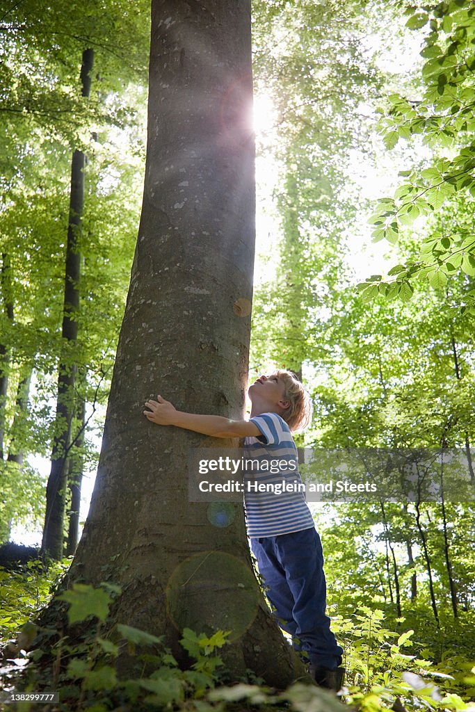 Boy hugging tree in forest