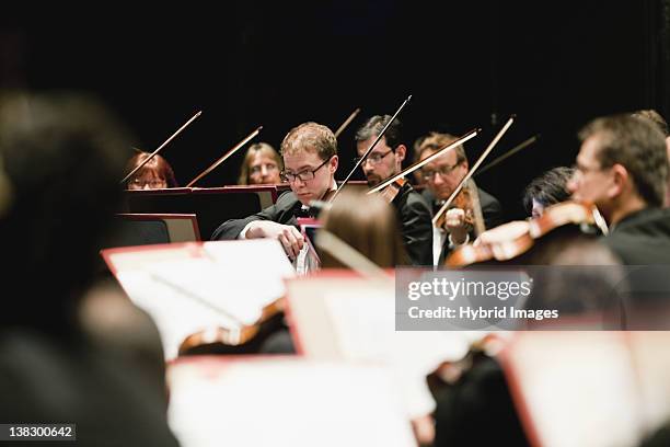 string section in orchestra - coordinated effort stock pictures, royalty-free photos & images