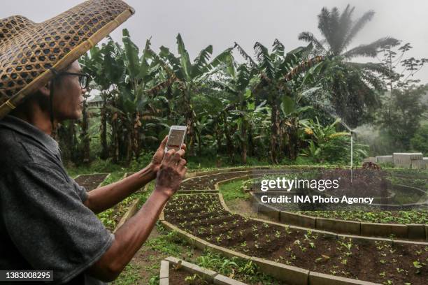 An Indonesian farmer using his mobile phone to spray a plant in a field in Bogor, West Java, Indonesia, on February 18, 2022. Modern agriculture...