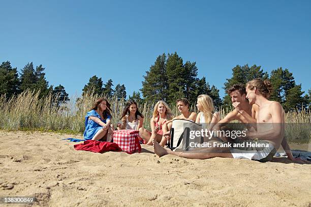 friends having picnic on beach - scandinavia picnic stock pictures, royalty-free photos & images