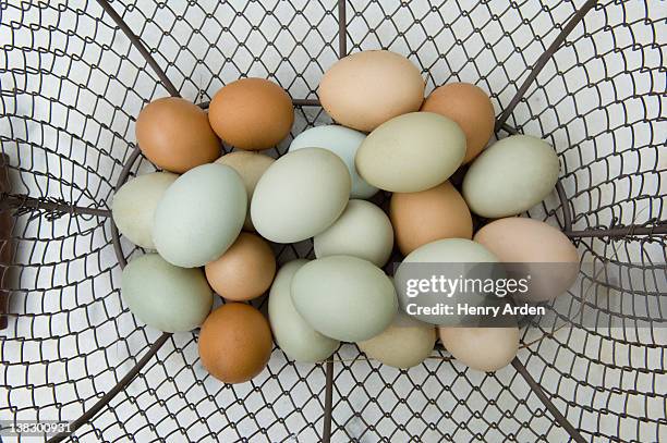 close up of eggs in basket - eggs basket stock pictures, royalty-free photos & images