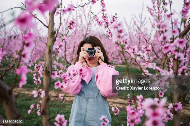 young woman taking photos of blossoming fruit trees with a retro camera in spring - photographe photos et images de collection