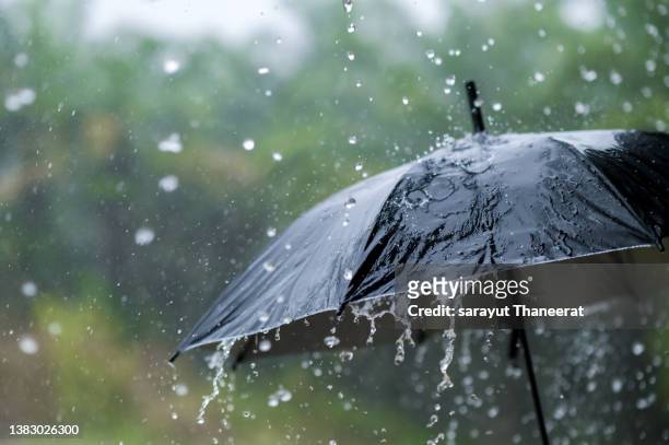 it's raining heavily, wearing an umbrella during the rainy season - sintflutartiger regen stock-fotos und bilder