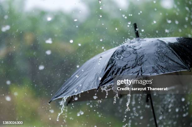 it's raining heavily, wearing an umbrella during the rainy season - orage photos et images de collection