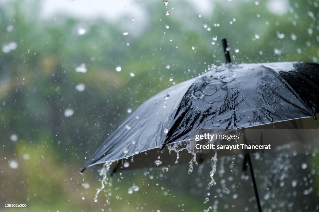 It's raining heavily, wearing an umbrella during the rainy season
