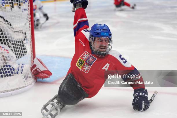 Zdenek Krupicka of Team Czech Republic reacts during the Preliminary Round Group B Para Ice Hockey game between Czech Republic and Slovakia on day...