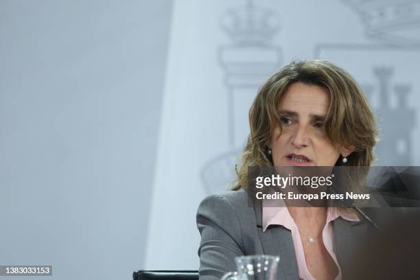 The third vice-president and minister for Ecological Transition and the Demographic Challenge, Teresa Ribera, appears after the Council of Ministers...