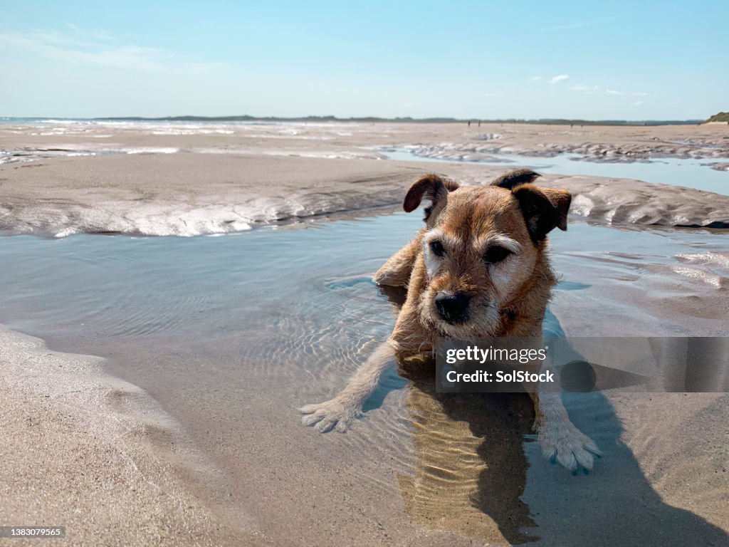 Sunbathing at the Beach