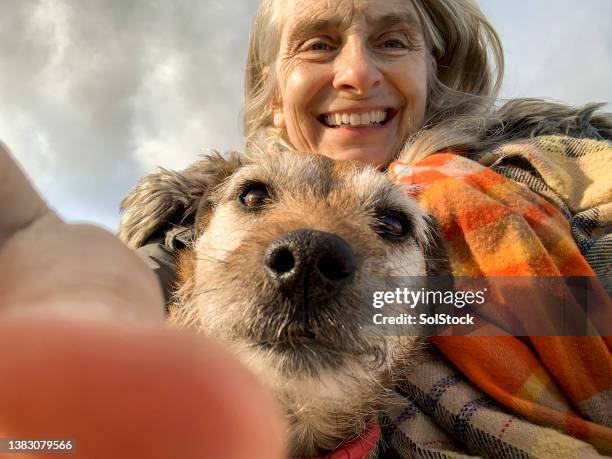 selfies mignons - chien et maitre photos et images de collection