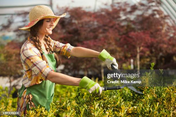 caucasian woman trimming bush in plant nursery - lehi stock pictures, royalty-free photos & images