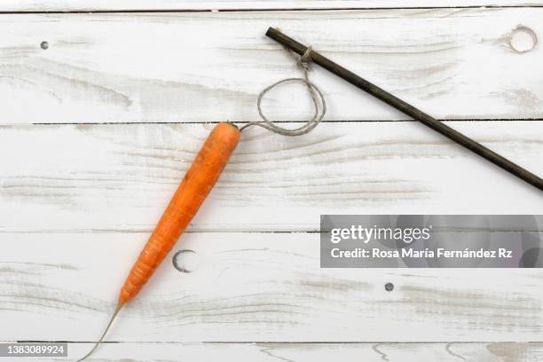 a carrot tied at the stick against light wooden background. dangle a carrot on a stick as an incentive - dangling a carrot - fotografias e filmes do acervo