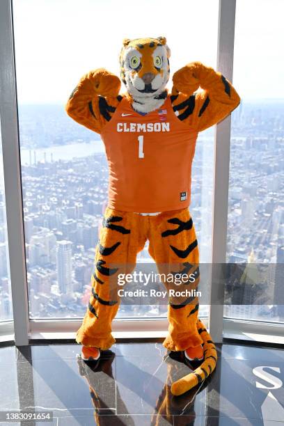 The Clemson Tigers mascot visits the Empire State Building in advance of the tournament on March 08, 2022 in New York City.