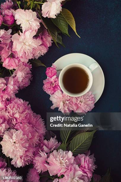cup of tea and cherry blossoms - cup of tea from above stock pictures, royalty-free photos & images