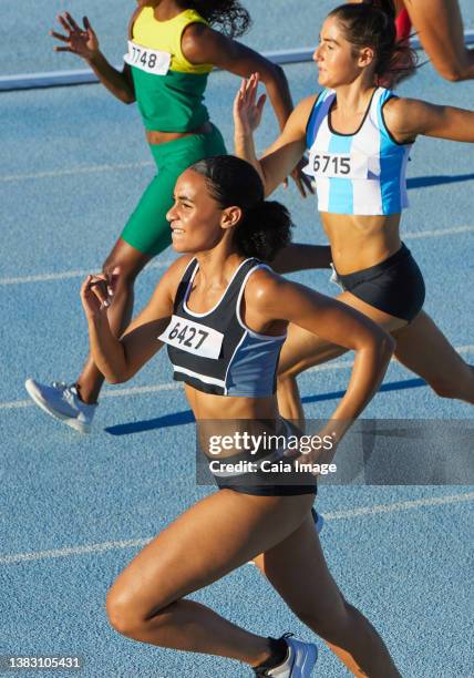 female track and field athletes running on sunny track - championship round three stock-fotos und bilder