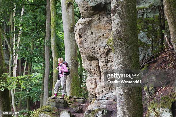 germany, rhineland-palatinate, eifel region, south eifel nature park, view of woman hiker standing near bunter rock formations at beech tree forest - eifel stock pictures, royalty-free photos & images