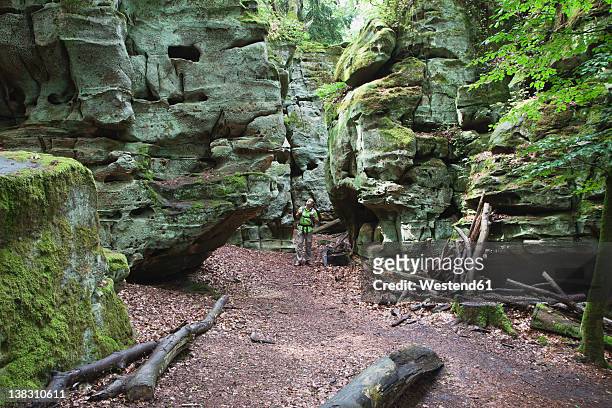 germany, rhineland-palatinate, eifel region, south eifel nature park, view of hiker walking near bunter rock formations at beech tree forest - eifel stock pictures, royalty-free photos & images