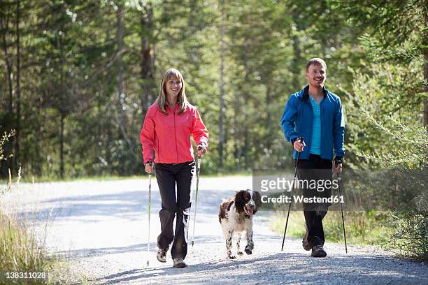 germany, bavaria, couple having nordic walk with english springer spaniel - nordic walking stock pictures, royalty-free photos & images