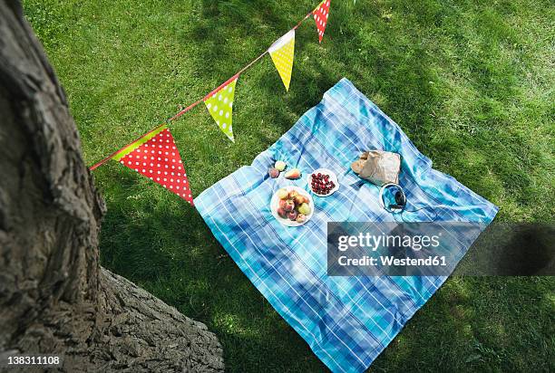 italy, tuscany, picnic blanket with food and flag line above it - picnic blanket stockfoto's en -beelden