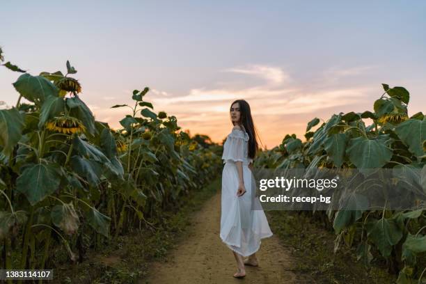 portrait of beautiful mixed-raced woman at sunflowers field - black hair back stock pictures, royalty-free photos & images