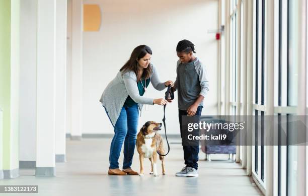 volunteer at animal shelter showing boy how to walk dog - pet adoption stock pictures, royalty-free photos & images