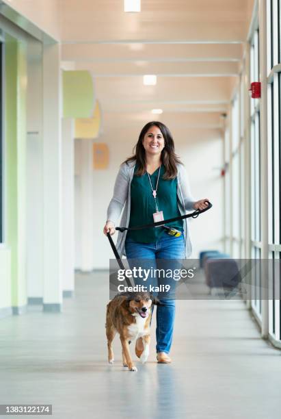 volunteer at animal shelter walking rescued dog - animal shelter stock pictures, royalty-free photos & images