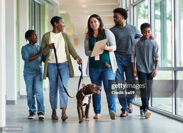 african-american family adopting dog from animal shelter - shelter imagens e fotografias de stock