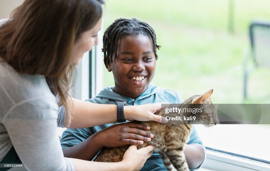 Freiwilliger im Tierheim und hilft Jungen bei der Adoption von Katzen