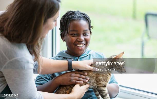 volunteer at animal shelter helping boy adopt cat - pet adoption stock pictures, royalty-free photos & images