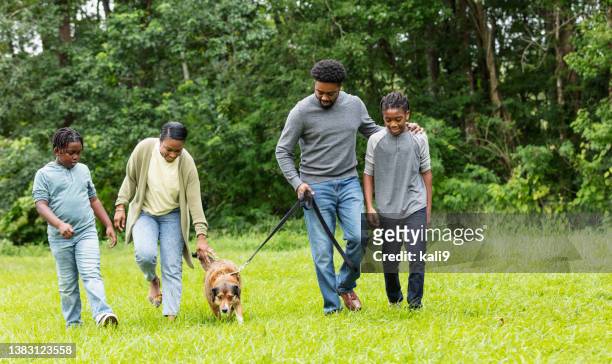 african-american family walking dog in grassy field - geredde hond stockfoto's en -beelden