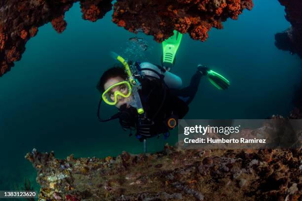 girl that scuba dive. - macchina fotografica subacquea foto e immagini stock