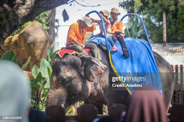 Children Riding Elephants 326 Children Ride Elephant Stock Photos, High-Res Pictures, and Images ...