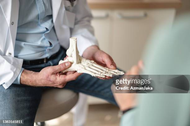 骨格に足の骨を示す一般開業医のクローズアップ - 足首 ストックフォトと画像