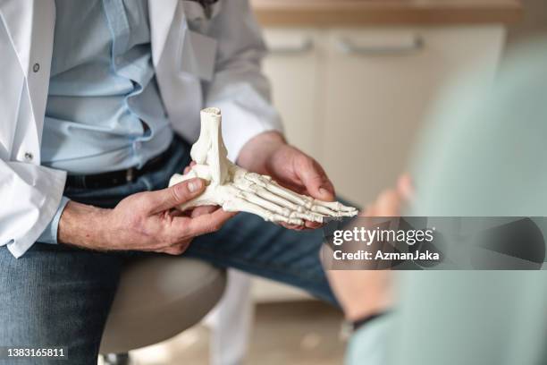 close up of a general practitioner showing bones of a foot on a skeleton - doctor attitude stock pictures, royalty-free photos & images