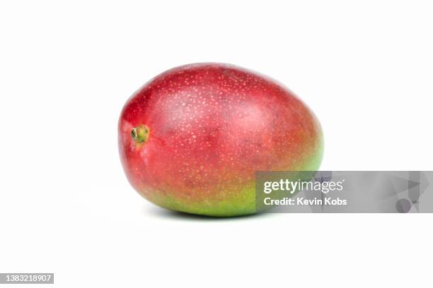 front view of a lying mango. - mangue photos et images de collection