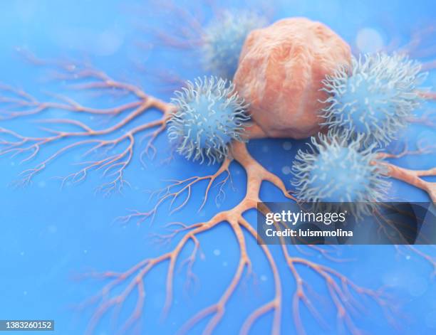 nk cell (natural killer cell) attacking a cancer cell - white blood cells stockfoto's en -beelden