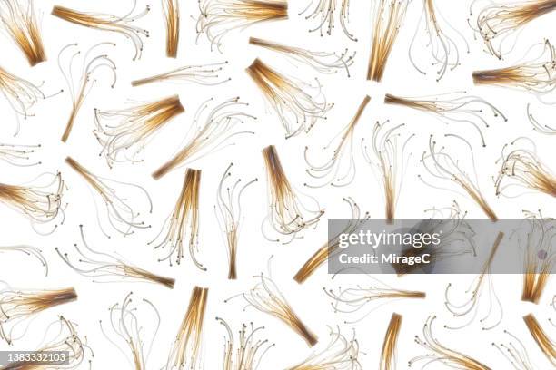 enoki mushroom back lit flat lay pattern - enoki mushroom stock pictures, royalty-free photos & images