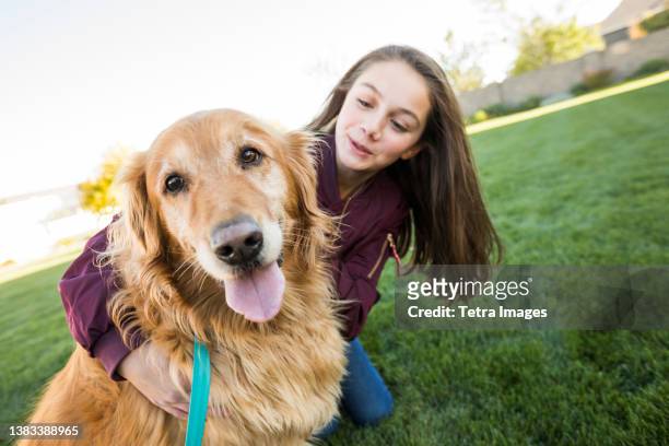girl (12-13) with golden retriever on lawn - tetra images stock-fotos und bilder