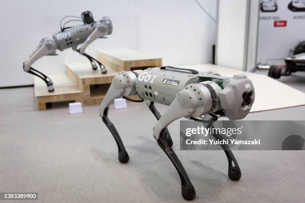 TechShare Inc. Quadrupedal walking robot is displayed during the International Robot Exhibition 2022 at Tokyo Big Sight on March 09, 2022 in Tokyo,...