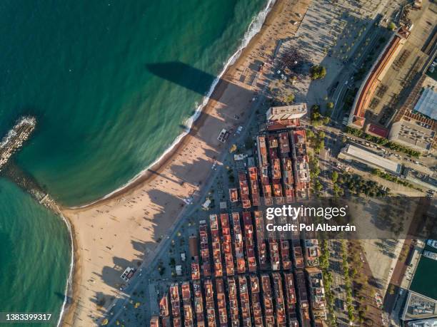 aerial view of la barceloneta, in barcelona, central beach district in catalonia. - barcelona beach stock pictures, royalty-free photos & images