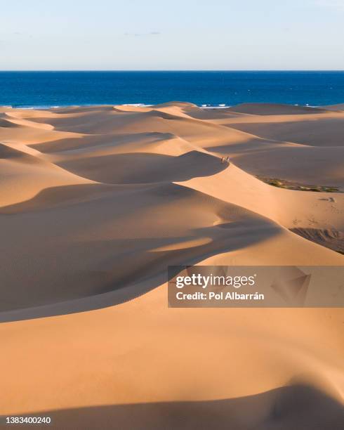 aerial view of maspalomas sand dunes, gran canaria, canary islands, spain. - maspalomas imagens e fotografias de stock
