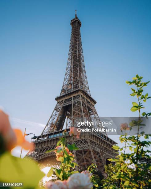 eiffel tower with blue sky .classical paris photo. france capital city. - museu do louvre - fotografias e filmes do acervo