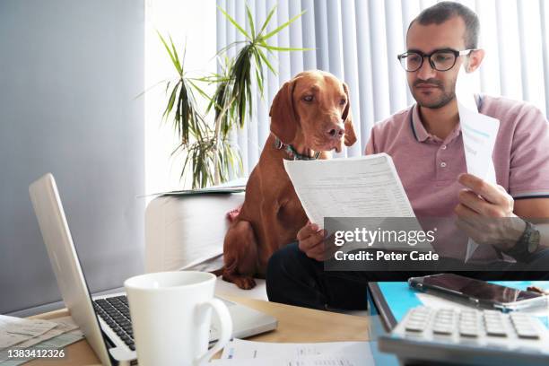 man doing home accounts with dog - account dog stock-fotos und bilder