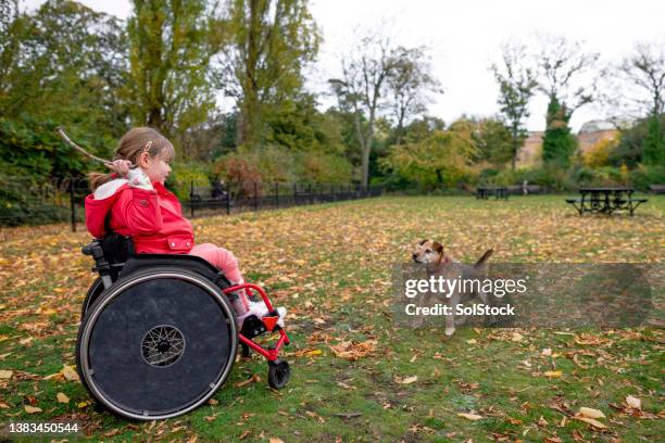 playing fetch in the park - young leafs stock pictures, royalty-free photos & images