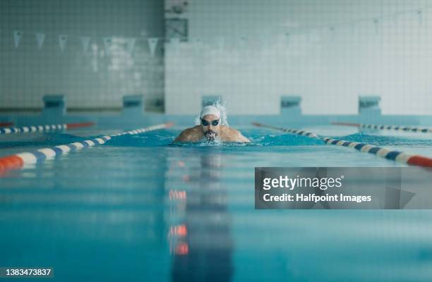 front view of professional swimmer swimming in indoors swimming pool. - swimming stroke stock pictures, royalty-free photos & images