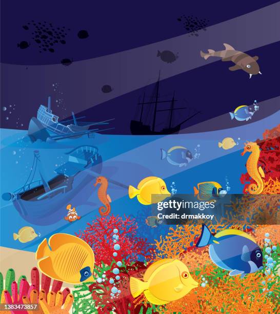 tropical fish and historic galleon wrecks - angelfish stock illustrations