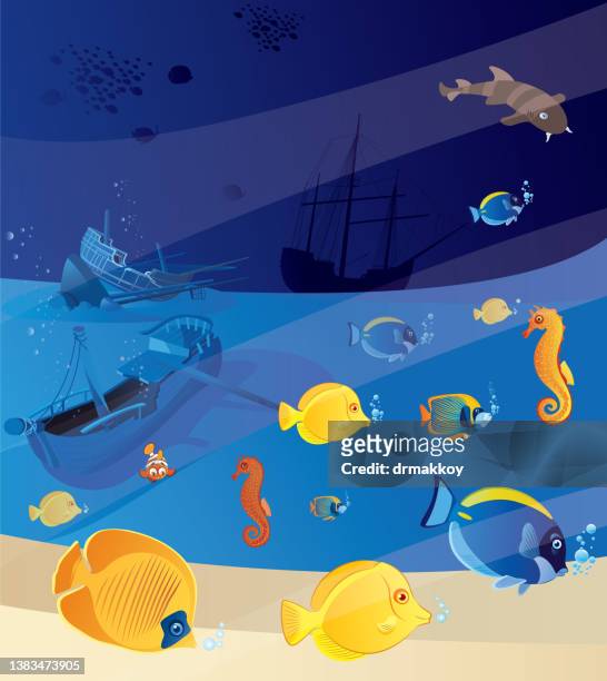 tropical fish and historic galleon wrecks - acanthuridae stock illustrations