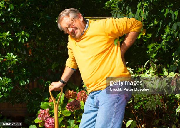 gardener with acute back pain - herniated disc 個照片及圖片檔