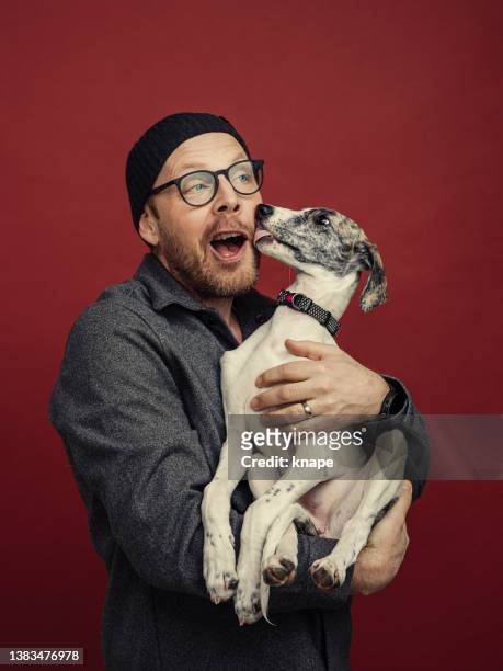 man and small puppy dog - studio kiss stock pictures, royalty-free photos & images