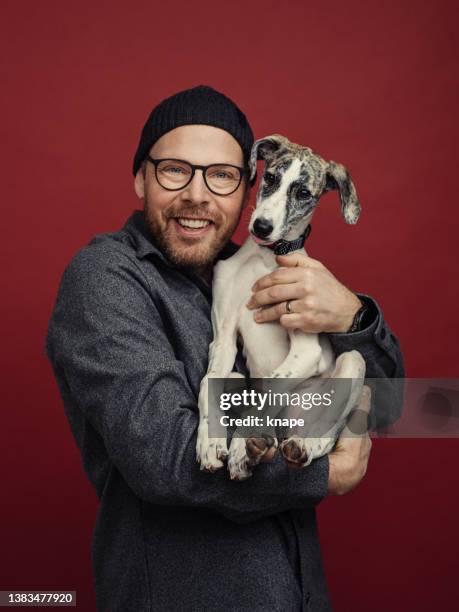 man and small puppy dog - collar stock pictures, royalty-free photos & images
